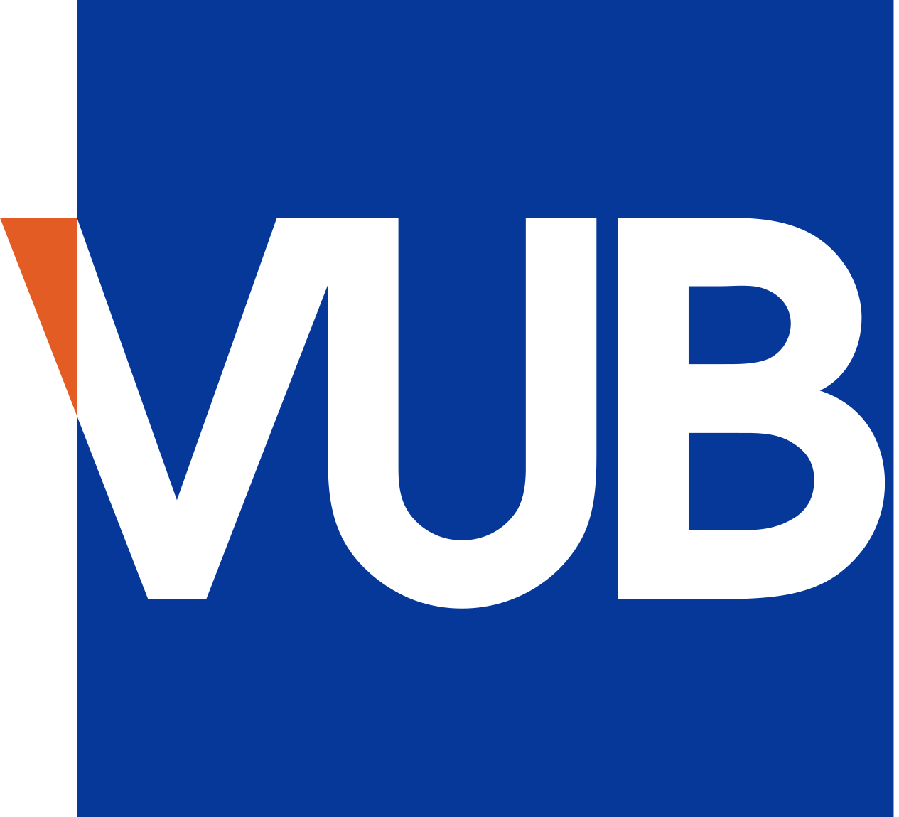 VUB logo