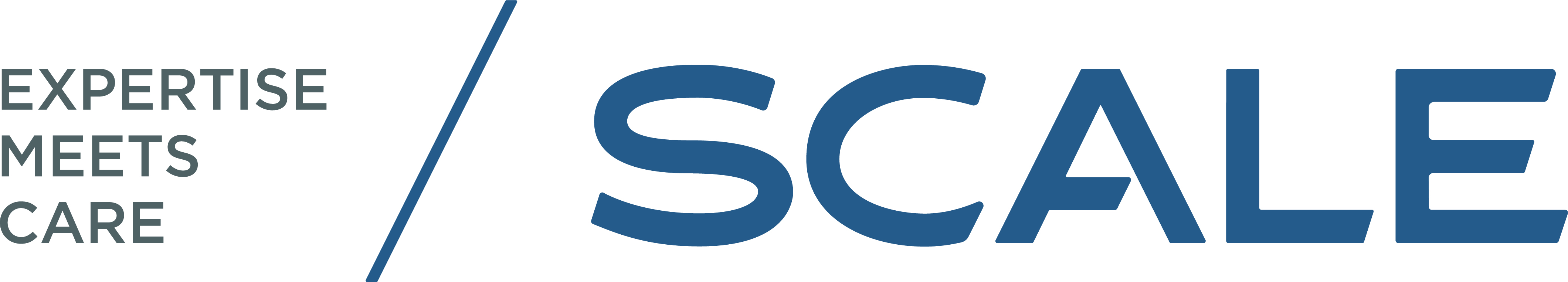 Scale logo