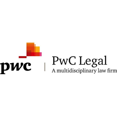 Corporate and M&A Lawyer