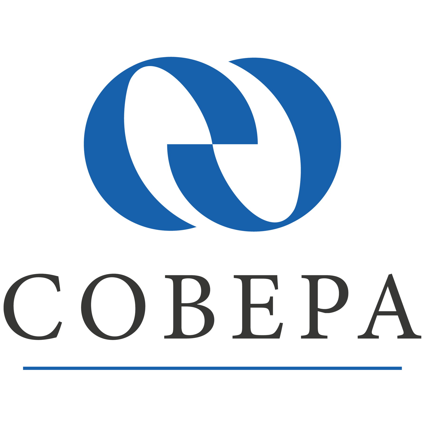 Legal & Compliance Officer